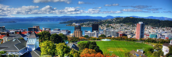 Wellington. Photo by Sean Hamlin