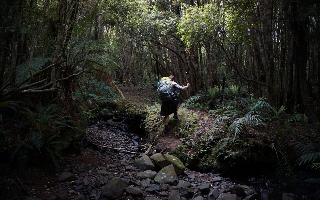 South Island Nobos