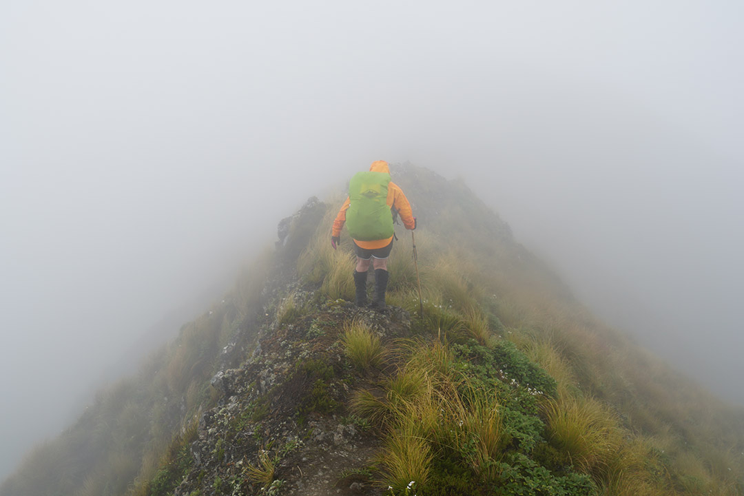 Mount Crawford Te Araroa