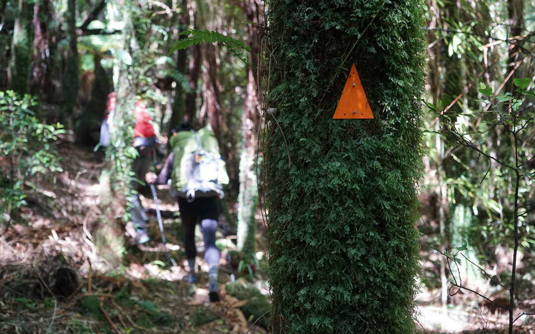 A Guide to Trail Markers