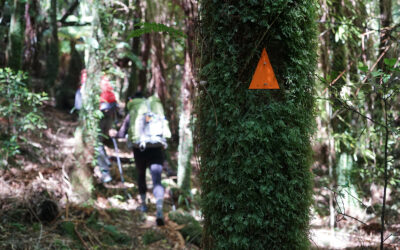 A Guide to Trail Markers