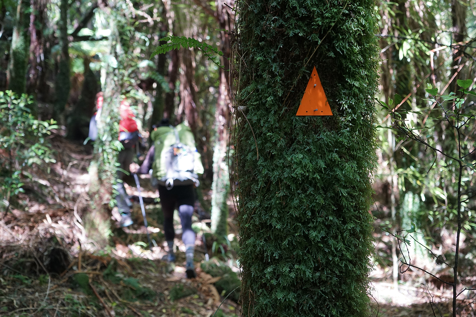Track Marker Burttons Track