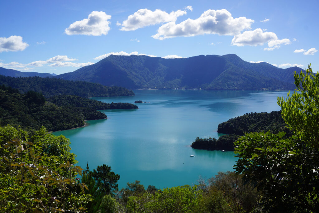 Marlborough Sounds