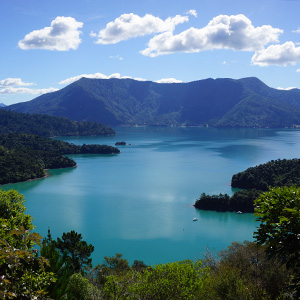 Marlborough