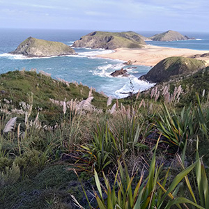 Tarawamaomao Point
