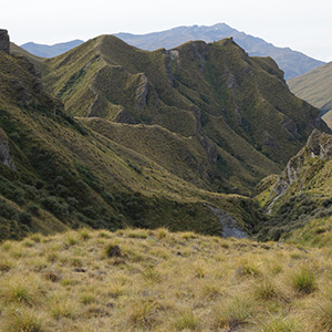 Otago
