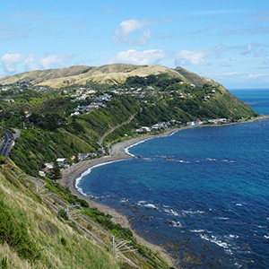 Wellington