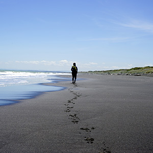 Turakina Beach Whanganui Section
