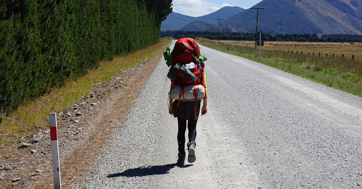 About Te Araroa Te Araroa