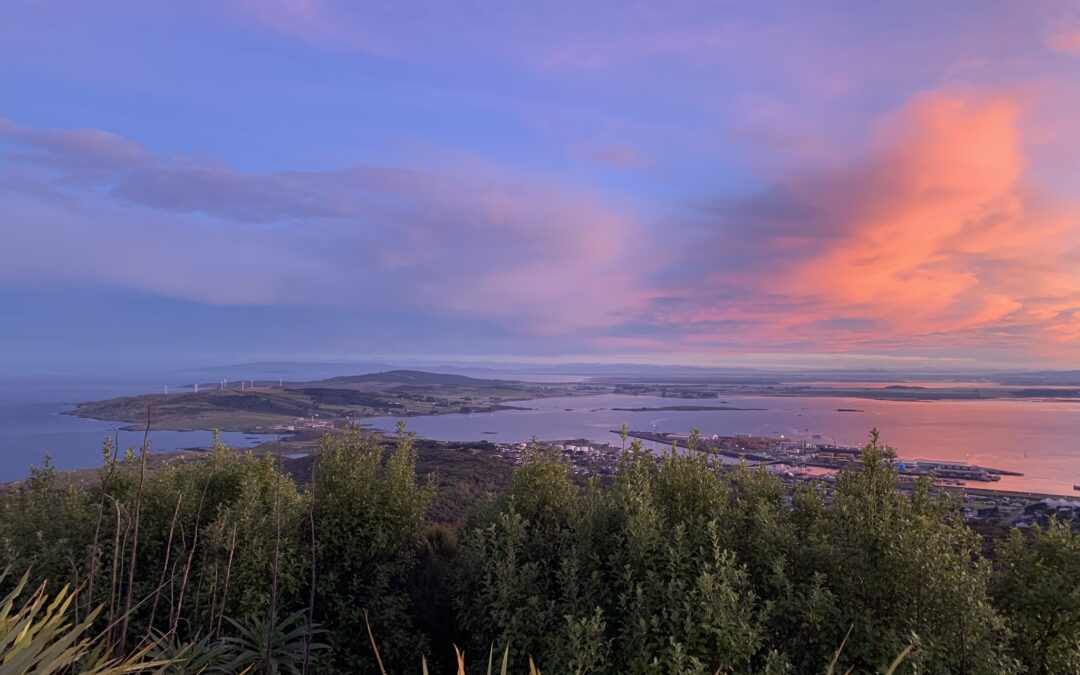 Every Te Araroa walker funds a native tree