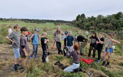Community turns out to restore native forest on the Puketotara Track